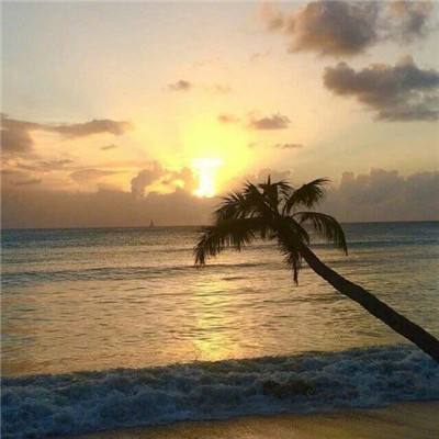 皇冠app官方下载截图